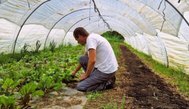 Ce Niçois a tout plaqué pour réaliser son rêve de gosse: monter sa ferme bio dans l’arrière-pays
