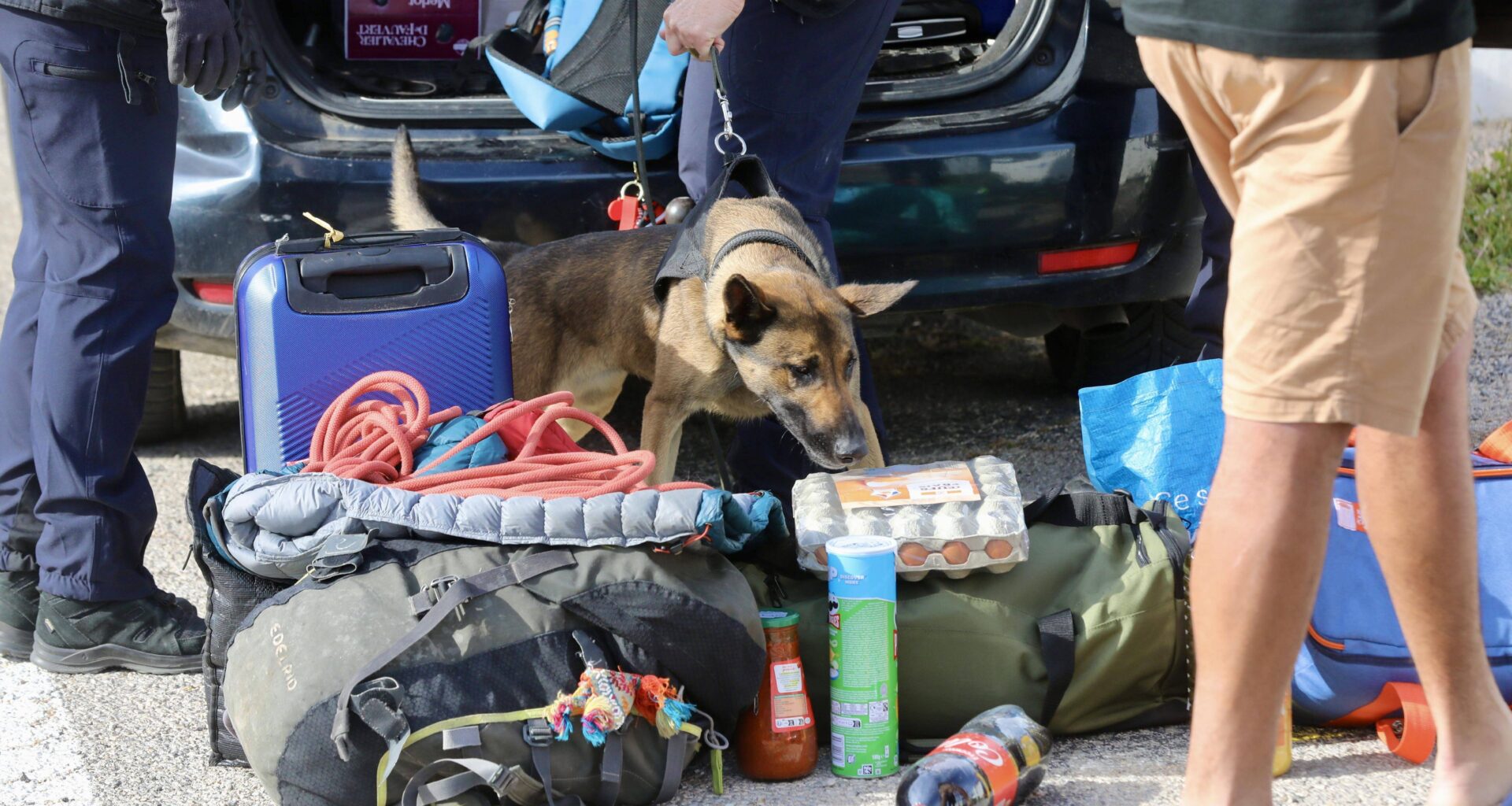 Vaste opération de contrôle à l’embarquement des passagers des ferries à Toulon
