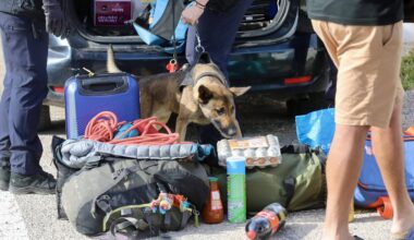 Vaste opération de contrôle à l’embarquement des passagers des ferries à Toulon