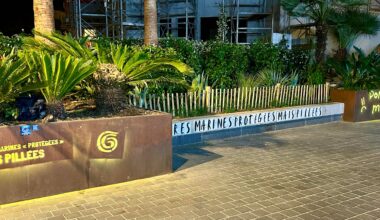 Pourquoi des militants de Greenpeace, placés en garde à vue mercredi à Nice, n’ont pas eu accès à leur avocat?