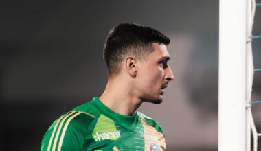 Petrovic et Santos nominés pour le Trophée UNFP, juste récompense ! — Alsa'Sports