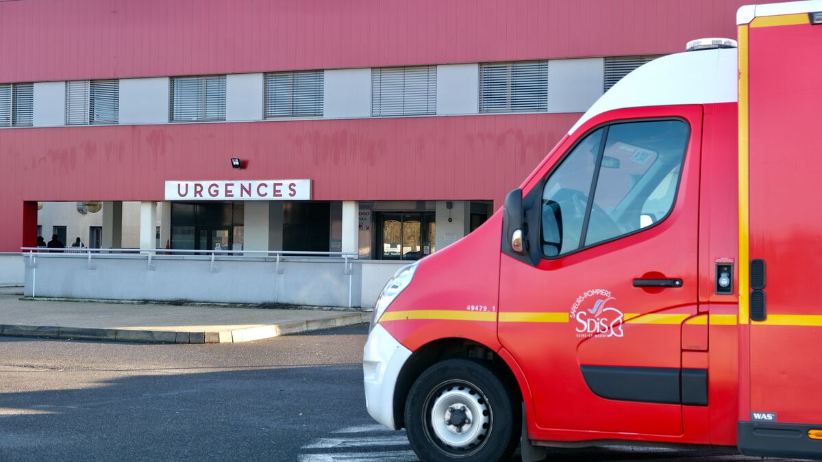 Rodéo urbain à Évian-les-Bains : un pompier grièvement blessé, le conducteur du véhicule, âgé de 19 ans, en garde à vue
