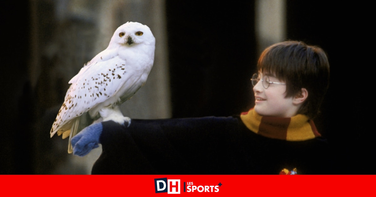 Une actrice de la saga Harry Potter annonce une triste nouvelle : "Je n'ai plus que cinq ou six ans à vivre"