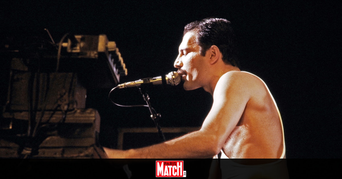 Une femme de 48 ans affirme être la fille cachée de Freddie Mercury : "Nous avons eu une relation très fusionnelle"