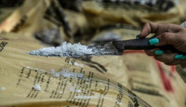 Des narcotrafiquants du Var ont collaboré avec des « chimistes » envoyés à Toulon par le cartel de Sinaloa