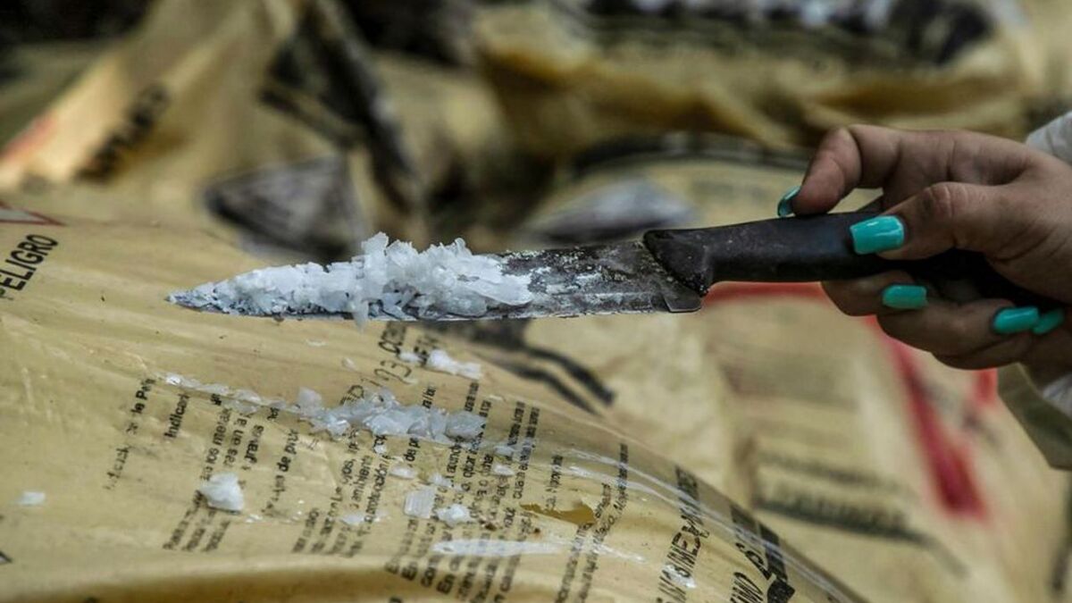 Des narcotrafiquants du Var ont collaboré avec des « chimistes » envoyés à Toulon par le cartel de Sinaloa