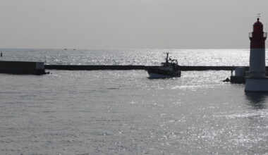 Protection des océans : la France défend une gestion différenciée du chalutage en zones sensibles