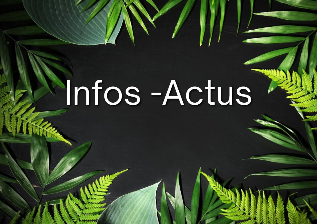 Infos - Actus