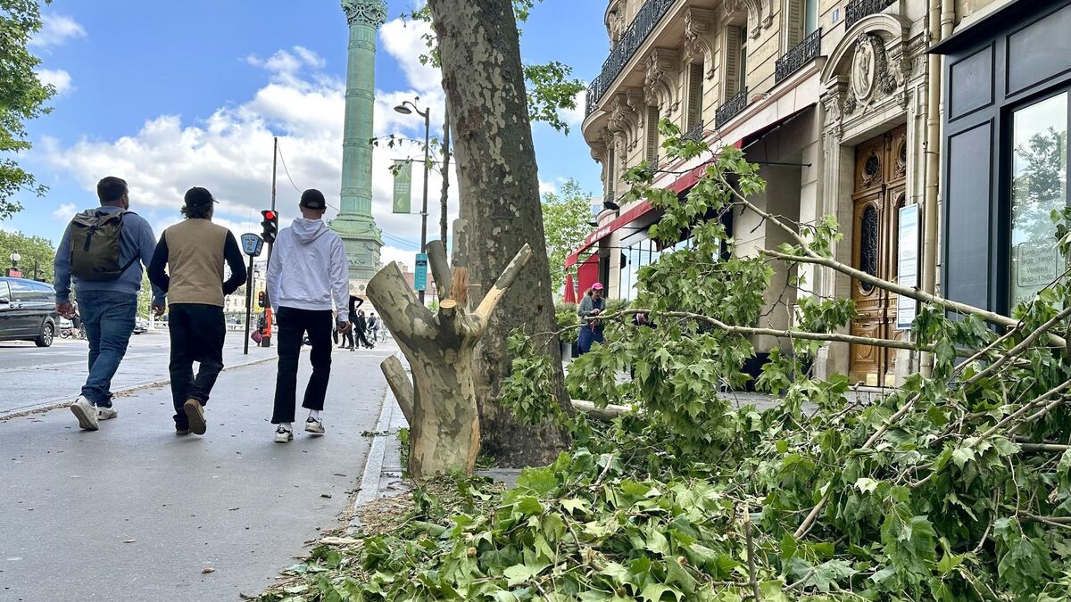 334 millions d’euros : la gigantesque facture de la grêle du 3 mai en Île-de-France