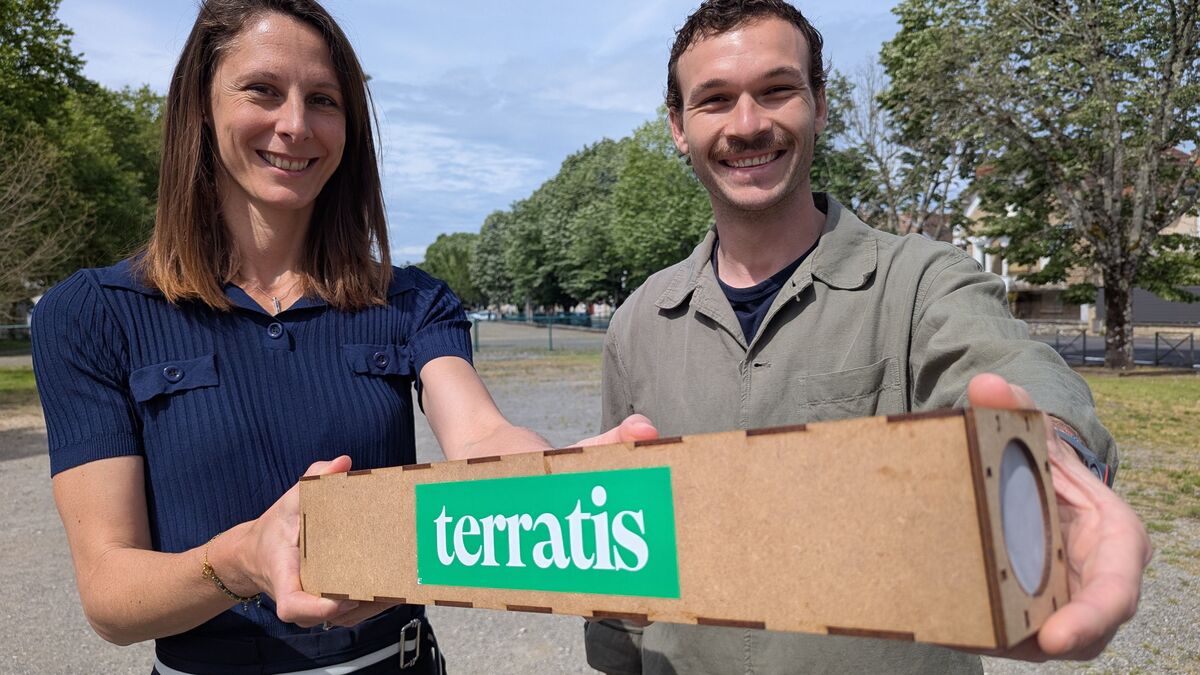 À Brive, on combat les moustiques tigres… en lâchant 11 millions de moustiques tigres dans la nature