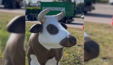« Les stars sont de retour » : sept ans après leur saccage, les statues retrouvent enfin le fameux Rond-point des vaches près de Rouen
