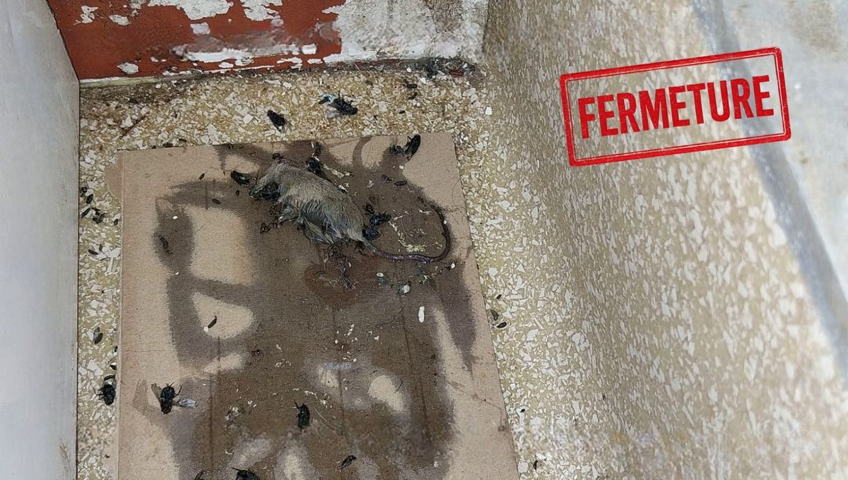 QUAND LES ÉTOILES GOOGLE NE FONT PAS LE RESTAURANT : LA GROTTE AZZURA FERME BOUTIQUE