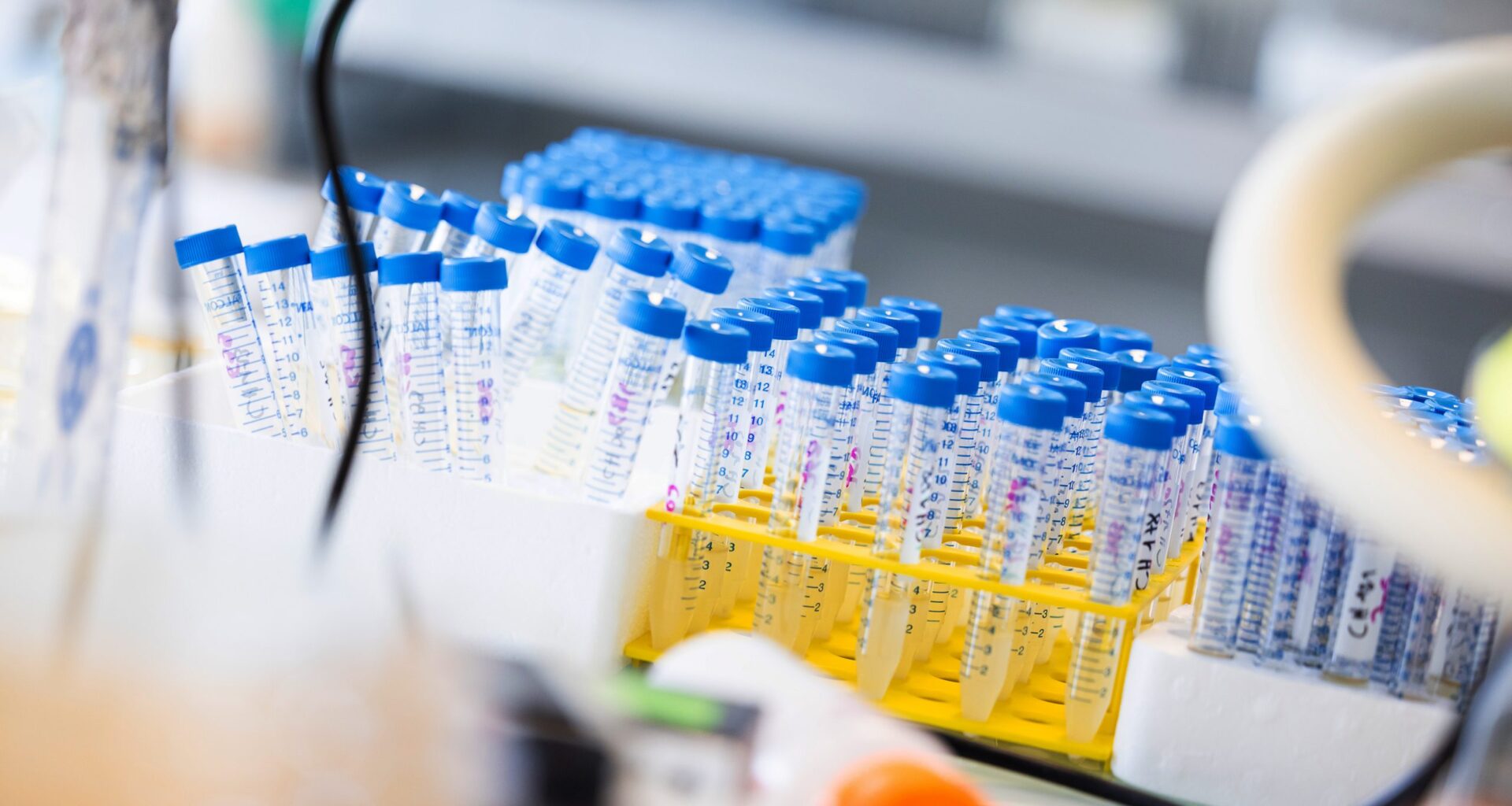 Recherche et transitions - Université de Rouen Normandie