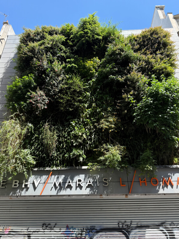Mur végétal réalisé par Patrick Blanc, BHV Homme, rue de la Verrerie, Paris 4e (75)
