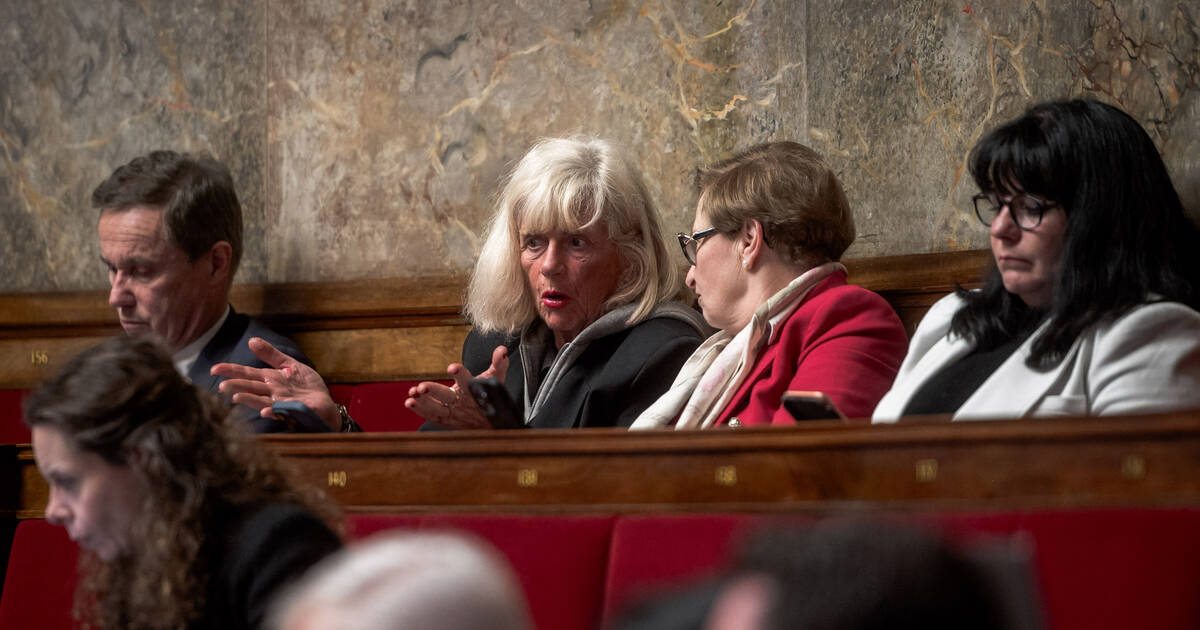 Deux députés de l’Assemblée nationale exclus temporairement pour usage illicite de leurs frais de mandat – Libération