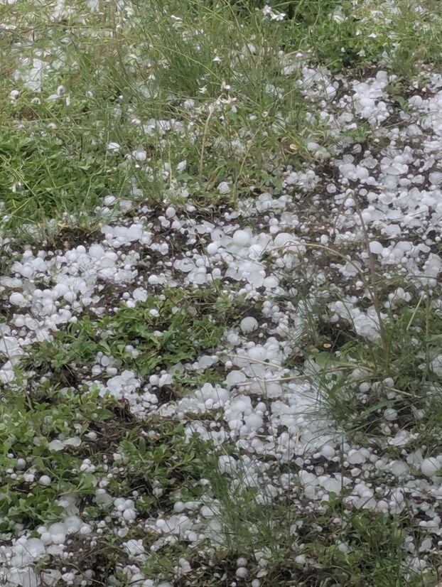 Armelle a fait cette photo de gros grêlons à Plaisir. DR