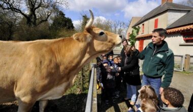 La ferme de la Chantrerie, îlot rural en terre urbaine, fête ses 40 ans à Nantes ce week-end