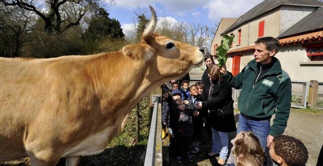 photo  fondée en 1985, la ferme de la chantrerie accueille chaque année de nombreux écoliers nantais.  ©  archives ouest-france 