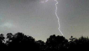 « On peut craindre des orages parfois très pluvieux » : à quoi s’attendre en