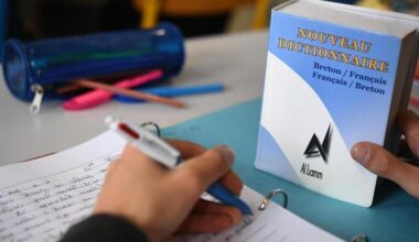 Au ministère pour défendre l’enseignement en breton en Loire-Atlantique