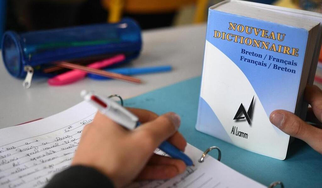 Au ministère pour défendre l’enseignement en breton en Loire-Atlantique