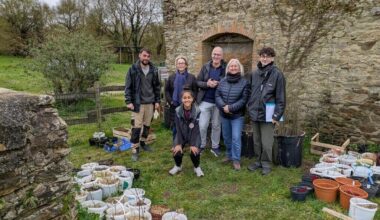 Un atelier Land art avec l’association Repousse à Bouguenais