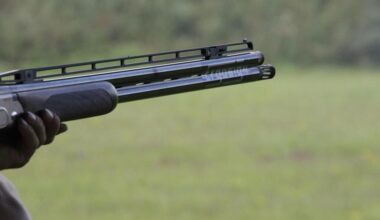L’accusant d’avoir volé ses bronzes, il tire avec un fusil à pompe devant le domicile familial