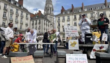 À Nantes, des apiculteurs mobilisés contre le retour aux champs d’un insecticide