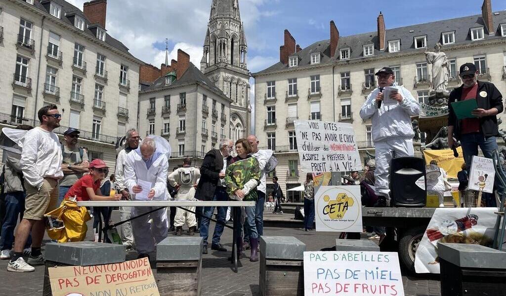 À Nantes, des apiculteurs mobilisés contre le retour aux champs d’un insecticide