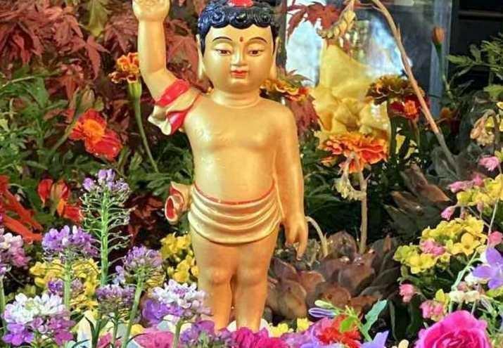 Le Vésak commémorant la naissance de Bouddha fêté le 25 mai à Saint-Herblain