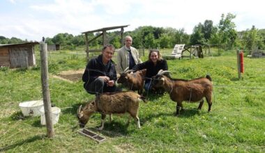 À Thorigné-Fouillard, 48 heures pour mettre en lumière l’agriculture urbaine