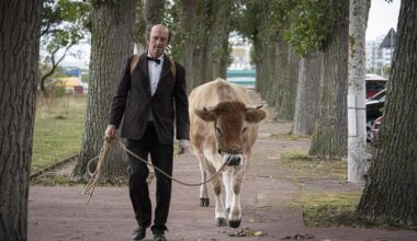« Bubu », pilier de Royal de Luxe, et M. Robert avec sa vache s’en est allé