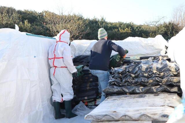 photo les risques au travail inhérents à la présence de l’amiante sur des chantiers menés par des entreprises de démolition et de terrassement feront l'objet d'une campagne des inspecteurs du travail d'ille-et-vilaine, jusqu'à la fin de l'année 2025.  ©  ouest-france