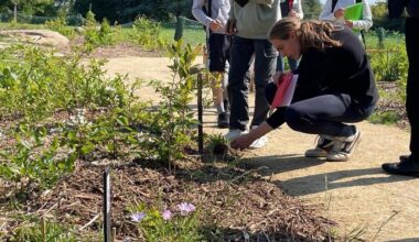 VIDEO. Au concours, les élèves paysagistes ont « une minute pour reconnaître chaque plante »
