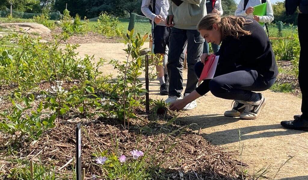 VIDEO. Au concours, les élèves paysagistes ont « une minute pour reconnaître chaque plante »