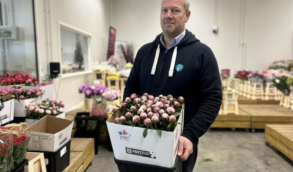 Grossiste recherche pivoines, fleur star de la fête des Mères