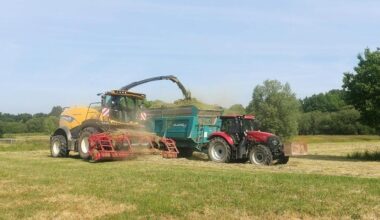 Au sud de Rennes, le foin du parc servira à nourrir le bétail cet hiver