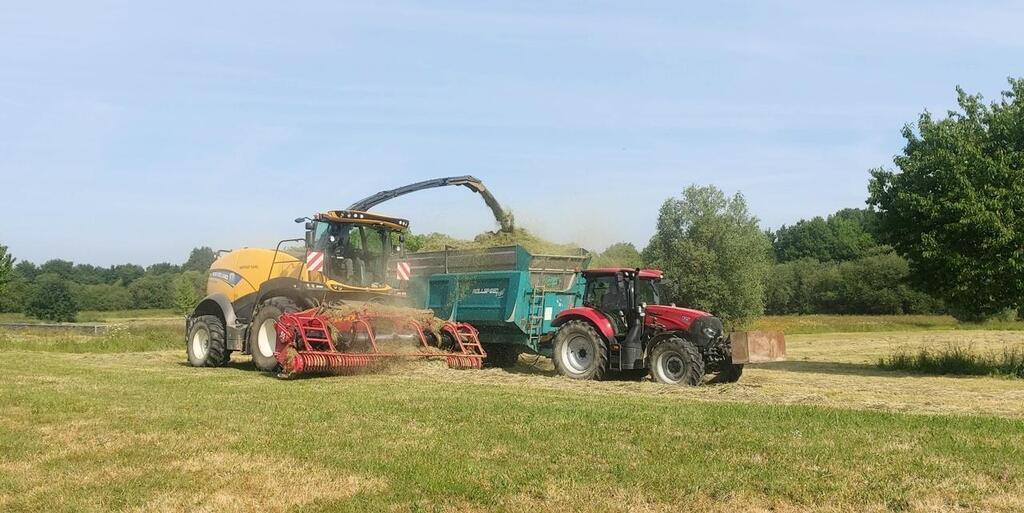 Au sud de Rennes, le foin du parc servira à nourrir le bétail cet hiver
