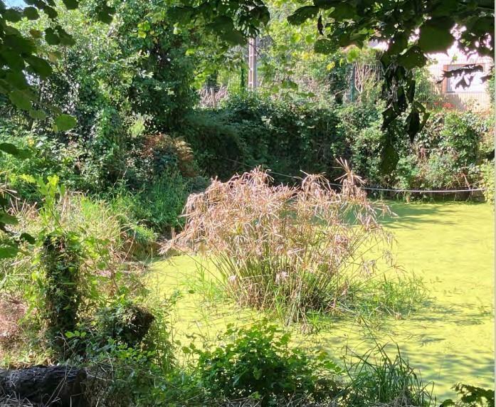 Une réserve de biodiversité aux portes de Nantes