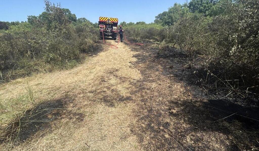 Au sud de Nantes, un feu de végétation éteint par les sapeurs-pompiers