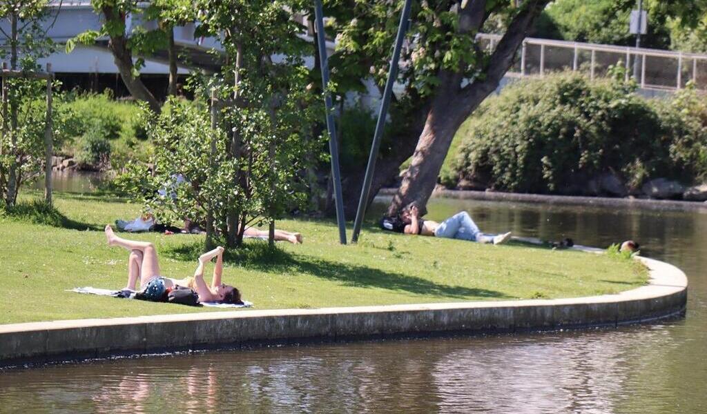 Pic de chaleur : des records de température battus en Ille-et-Vilaine