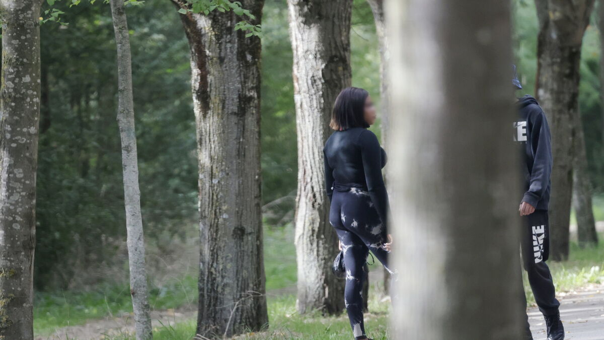 Enfants placés et prostitution : le département des Yvelines pointe du doigt « les véritables responsables »