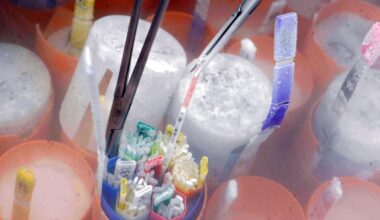 Mutation génétique et don de sperme : comment un homme a massivement transmis une prédisposition au cancer - Le Parisien