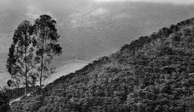Au Brésil, le photographe Sebastião Salgado «a su montrer les problèmes du monde et de notre pays» – Libération