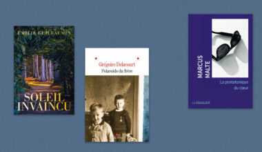 Grégoire Delacourt, Marcus Malte, Émilie Guillaumin… Notre sélection livres de la semaine