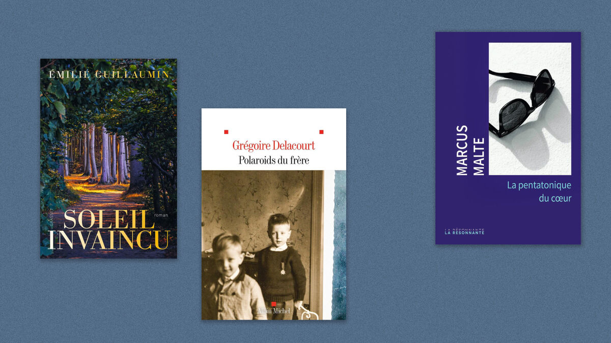 Grégoire Delacourt, Marcus Malte, Émilie Guillaumin… Notre sélection livres de la semaine