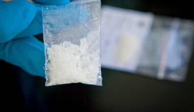 Près de Toulon, des chimistes envoyés par le puissant cartel mexicain de Sinaloa pour fabriquer de la méthamphétamine – Libération