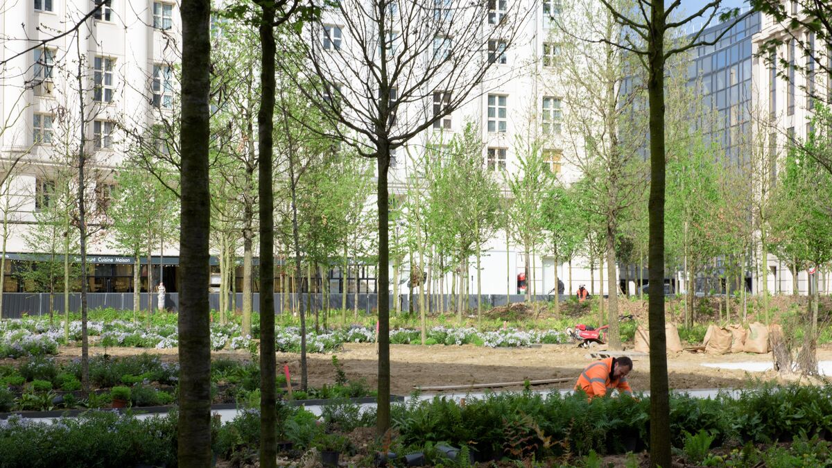 Et si vous deveniez jardinier de la Ville de Paris ? 80 postes sont à pourvoir