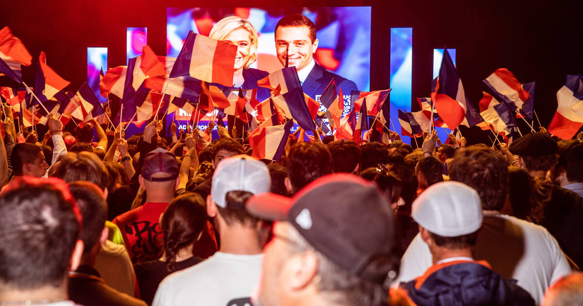 Courtisanerie, sièges éjectables, amateurisme… Le Rassemblement national, un parti malade de son bonapartisme – Libération