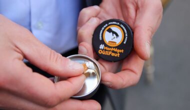 4 millions de mégots jetés par terre chaque jour à Paris : comment la capitale veut en finir avec ce fléau